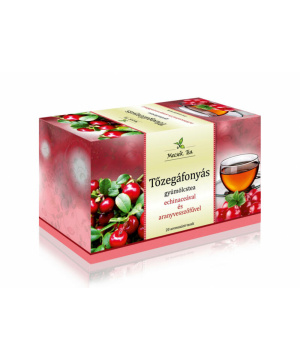 Mecsek gyümölcstea tőzegáfonyás 20x2g 40 g