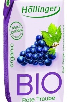 Höllinger bio gyümölcsital szolo 200 ml