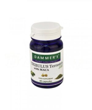 Dammers Tribulus Terrestris királydinnye kapszula 40 db