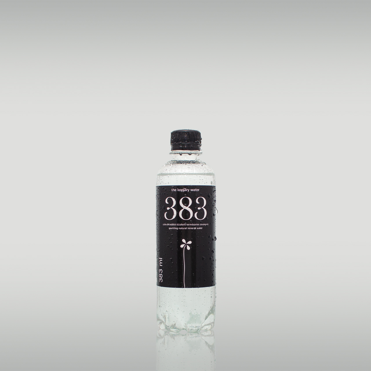 383 the kopjary water szén-dioxiddal dúsított ásványvíz 383 ml