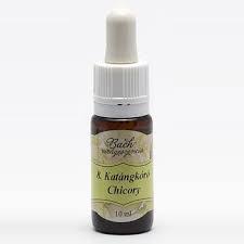 Bach virágeszencia katángkóró 10 ml