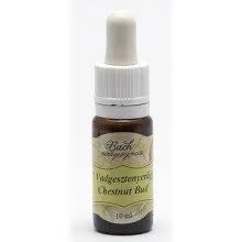 Bach virágeszencia vadgesztenyerügy 10 ml