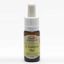 Bach virágeszencia erdeifenyő 10 ml