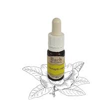 Bach virágeszencia elsősegély 10 ml