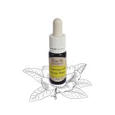 Bach virágeszencia bohócvirág 10 ml