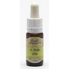 Bach virágeszencia szilfa 10 ml