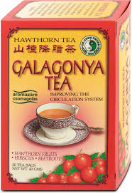 Dr. chen galagonya tea 20x2g 40 g