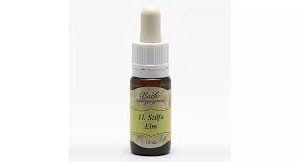 Bach virágeszencia rezgőnyár 10 ml