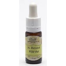 Bach virágeszencia rozsnok 10 ml