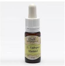 Bach virágeszencia vadrepce 10 ml