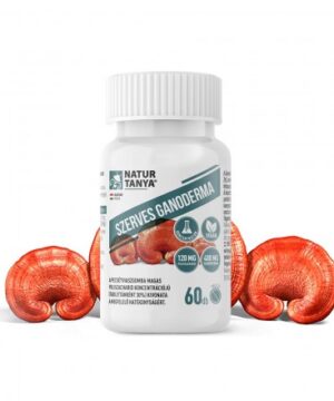 Natur Tanya szerves ganoderma 60db