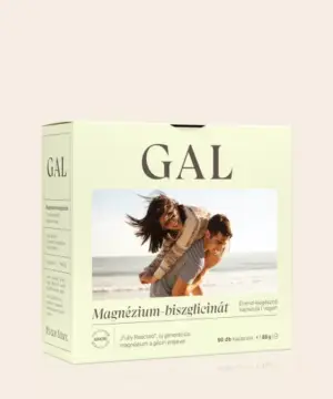 GAL Magnézium-biszglicinát 90db