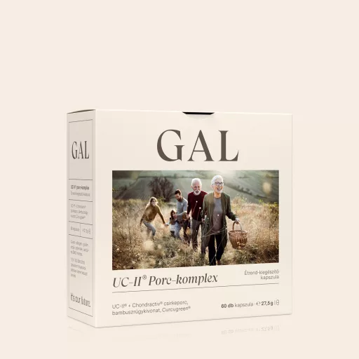 GAL UC-II® Porc-komplex 60db