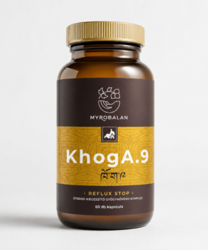 Myrobalan khoga.9 gyomorégés, reflux elleni gyógynövény-komplex vegán kapszula 60 db